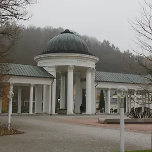 Karlovarska Apartment Mariánské Lázně